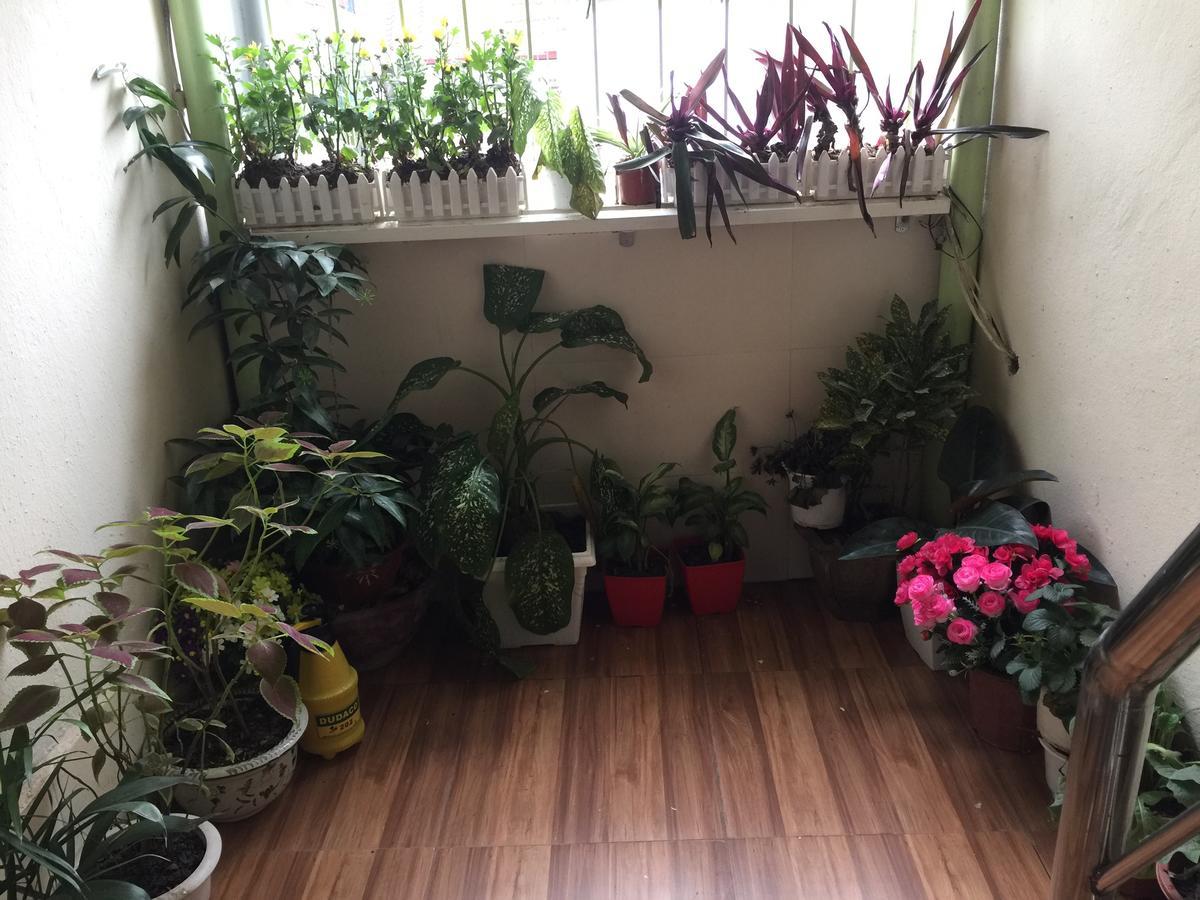 האנוי Cozy Homestay מראה חיצוני תמונה
